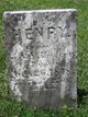  Henry Hoover