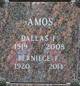 Dallas F. Amos Photo