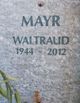  Waltraud Mayr