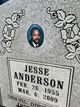  Jesse Anderson