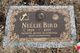 Nellie E Hinds Bird Photo