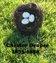 Chester Draper