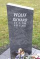  Richard Wolff