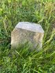  Field Stone