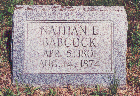 Nathan E. Babcock 