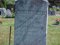 William A Hannan 