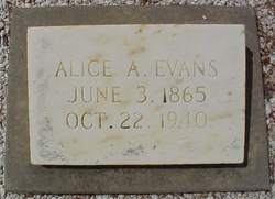 Alice <I>Trafton</I> Evans 