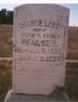Charles Leroy Pfalser 