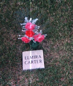 Elmira Smith <I>Linn</I> Carter 