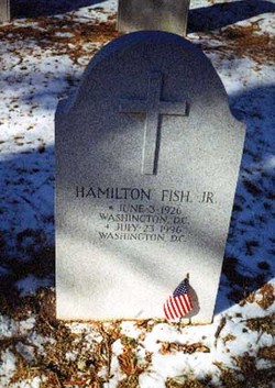 Hamilton Fish IV