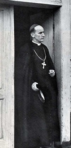 Cardinal Aloysius Viktor Stepinac 