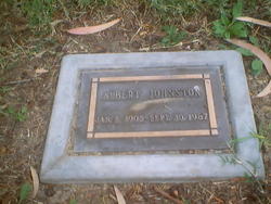 Albert Johnston 
