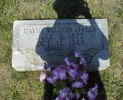 David Wilson Lively 