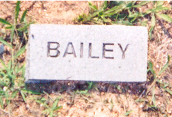 Bailey 