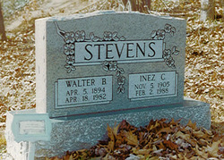 Walter Brownlow Stevens 
