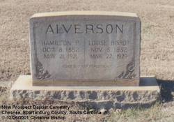 Hamilton P. Alverson 