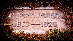 Albert Hamilton Busch 