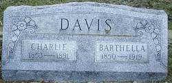 Barthella <I>Darden</I> Davis 