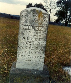 Miles Allee 