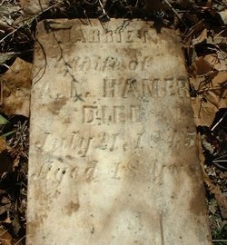 Harriet Hamer 