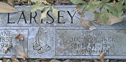 Joel W. Larisey 