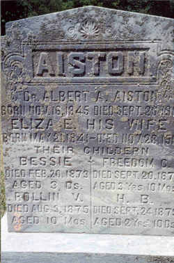 Eliza Ellen <I>Bisbee</I> Aiston 