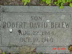 Robert David Belew 