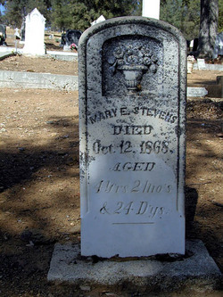 Mary E. Stevens 