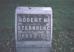 Robert Henry Sternberg 