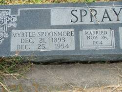 Myrtle <I>Spoonemore</I> Spray 