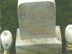 Hester Marie Henderson 