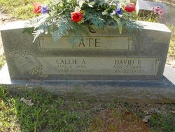 David F. Tate 
