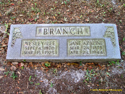 Azaline Jane <I>Collins</I> Branch 