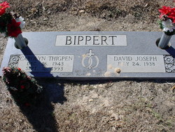 David Joseph Bippert 