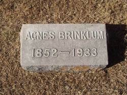 Agnes S. Brinklum 