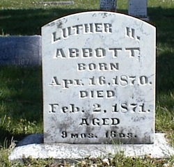 Luther Hayes Abbott 