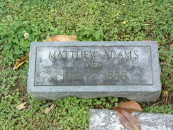 Matthew Adams 