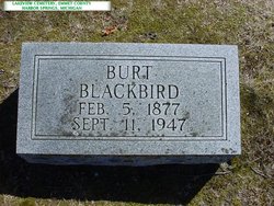 Burt Blackbird 