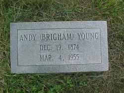 Michael Andy “Brigham” Young 