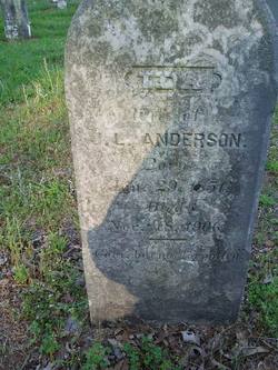 Ida <I>Birggrin</I> Anderson 