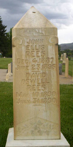 David Oswell Rees 