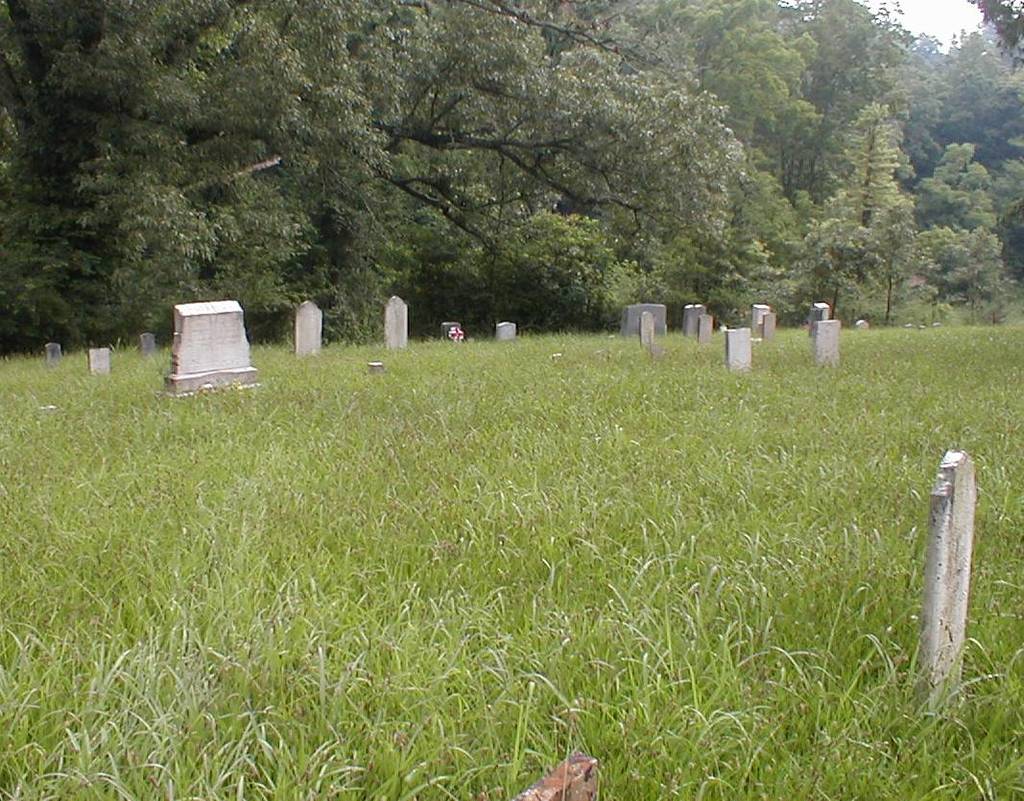 New Mossy Springs Cemetery