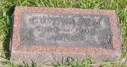 Gustava Alm 