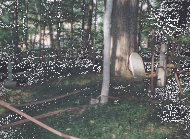 Doremus Family Burial Ground