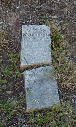 Albert Julius Anderson 
