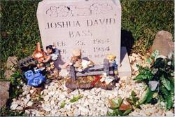Joshua David Bass 