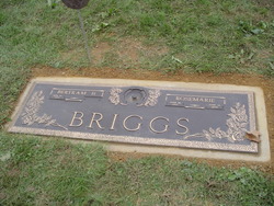 Bertram Henry Briggs Jr.