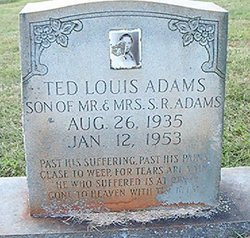 Ted Louis Adams 