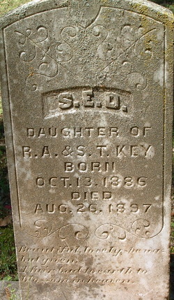 S. E. D. Key 