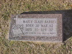 Marty Elain Barnes 